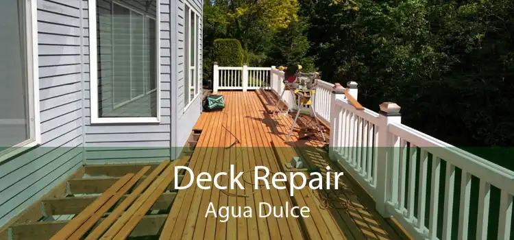 Deck Repair Agua Dulce